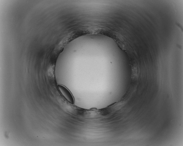 X0000102220286200808081323