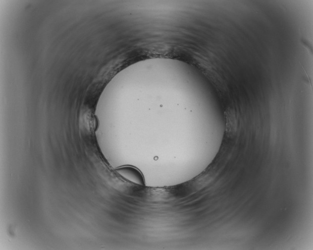 X0000102220287200808081323