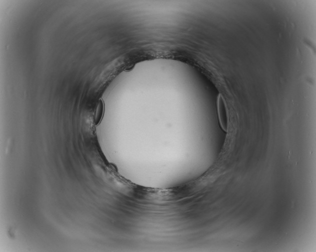 X0000102220288200808081323