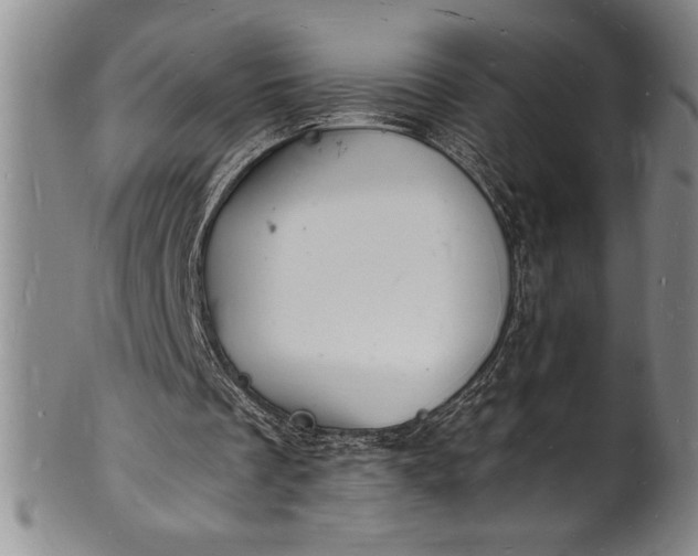 X0000102220289200808081323