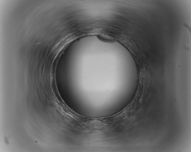 X0000102220290200808081323