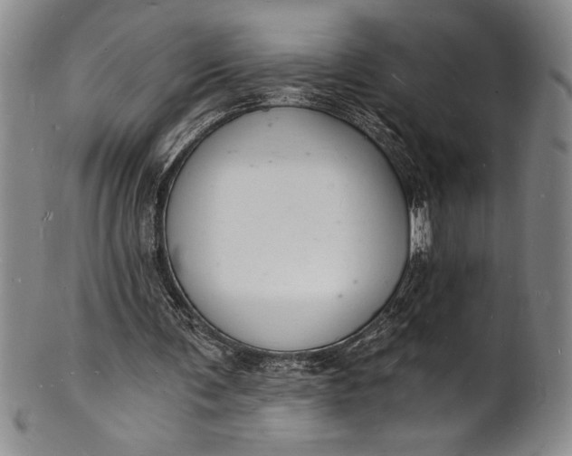 X0000102220291200808081323