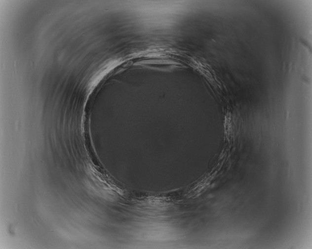 X0000102220292200808081323