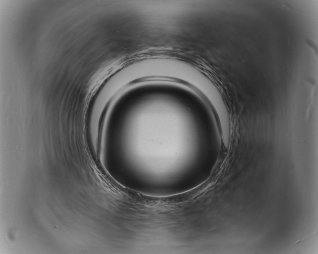 X0000102220293200808081323