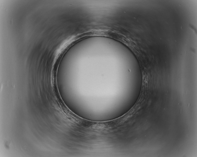 X0000102220294200808081323