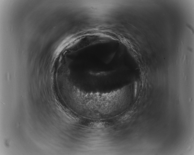 X0000102220295200808081322