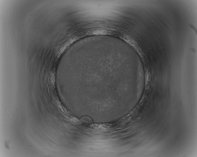 X0000102220297200808081322