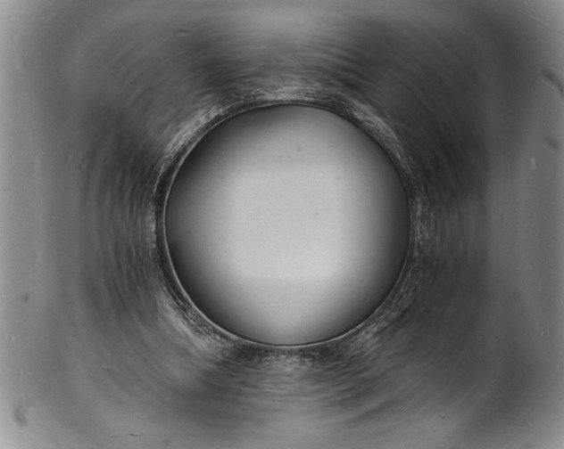 X0000102220298200808081322