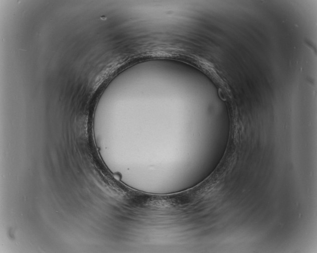 X0000102220299200808081322