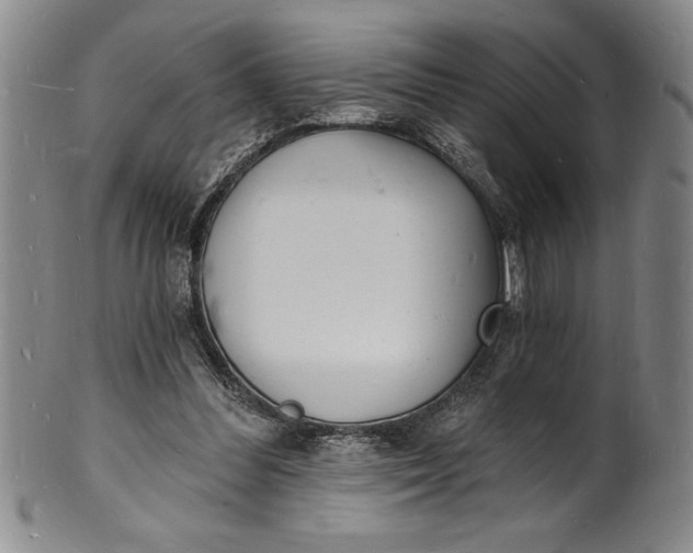 X0000102220300200808081322