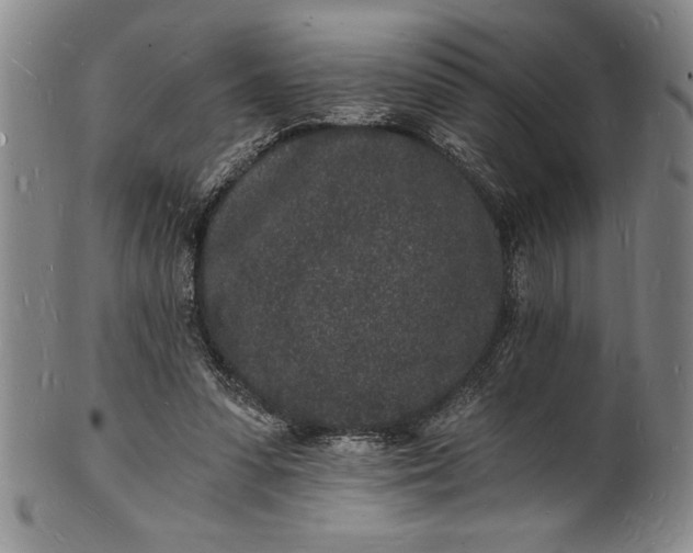 X0000102220303200808081322