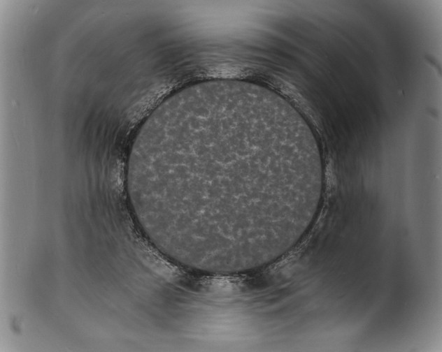 X0000102220305200808081322