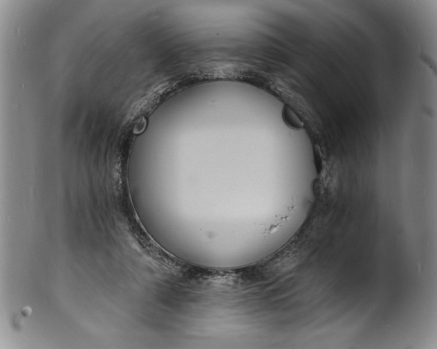 X0000102220306200808081322