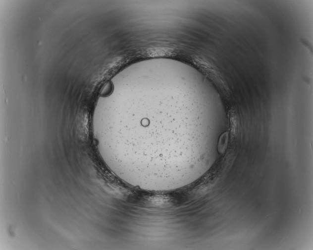 X0000102220308200808081322