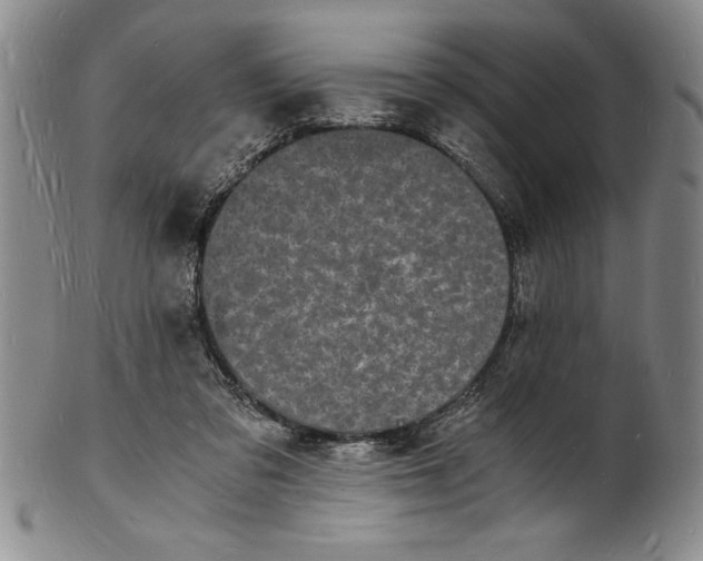 X0000102220309200808081322