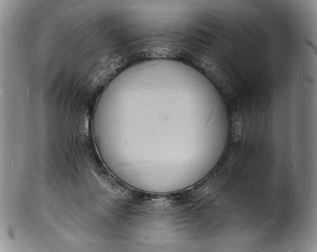 X0000102220310200808081322