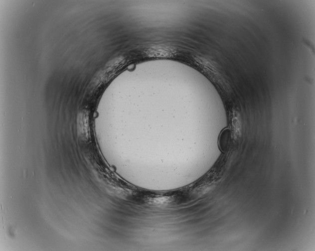 X0000102220312200808081322