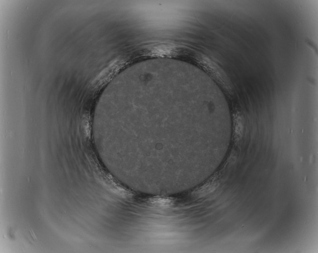 X0000102220313200808081322