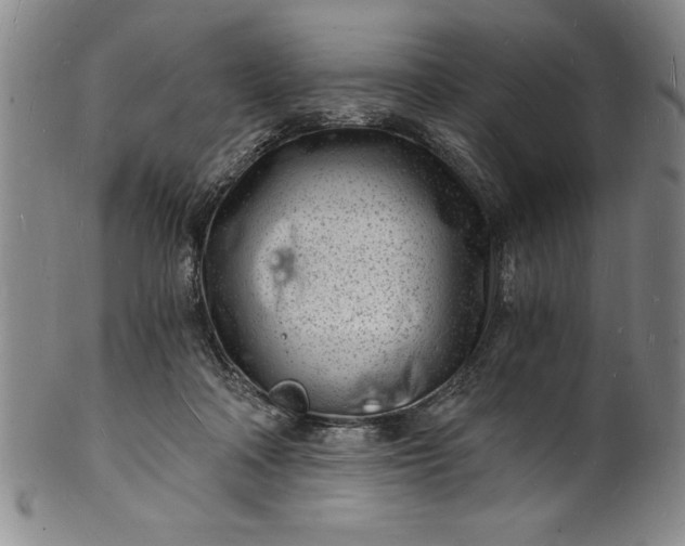 X0000102220314200808081322