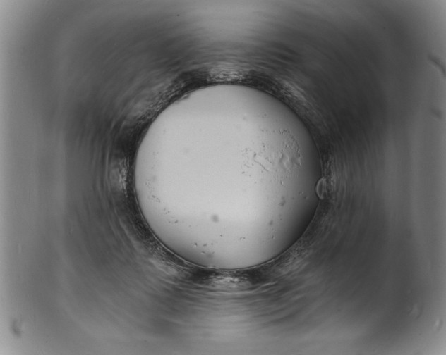 X0000102220315200808081322