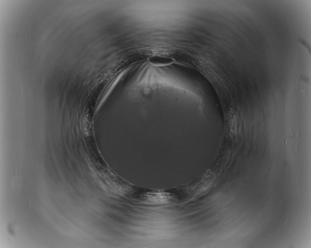 X0000102220316200808081322