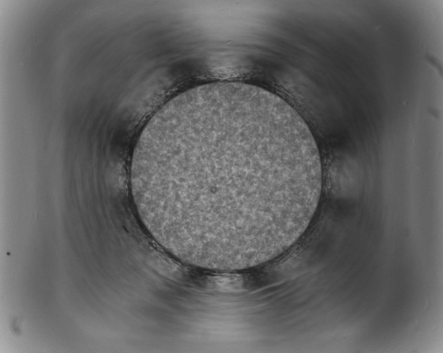 X0000102220317200808081322