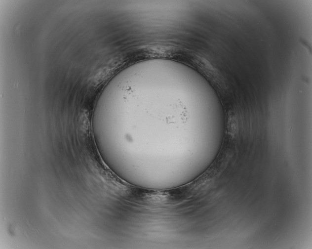 X0000102220318200808081322