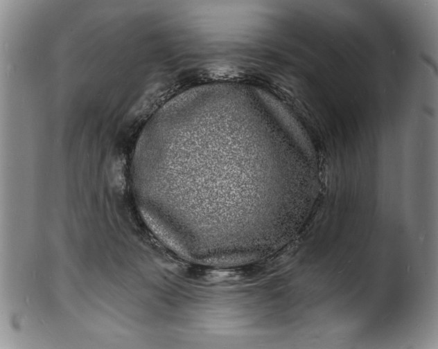 X0000102220319200808081322