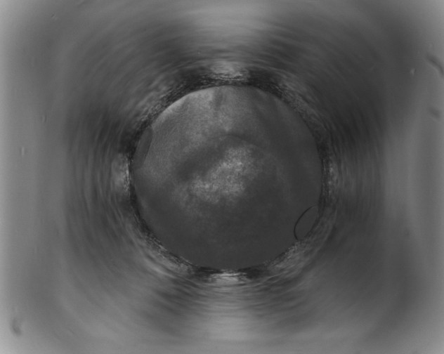 X0000102220320200808081322