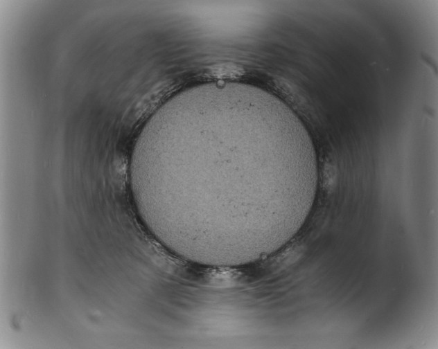 X0000102220321200808081322