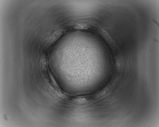 X0000102220322200808081322