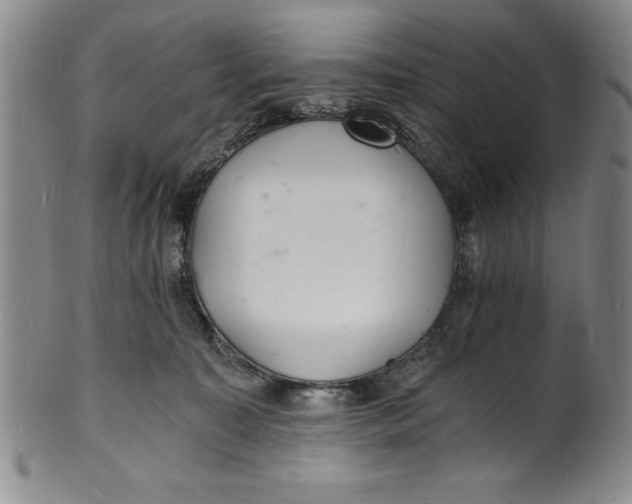 X0000102220323200808081322