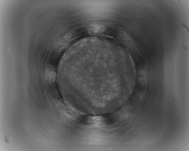 X0000102220324200808081322