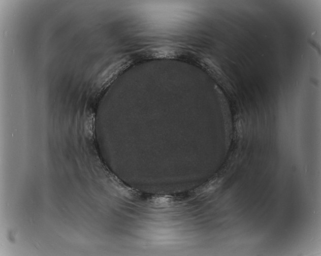 X0000102220325200808081322