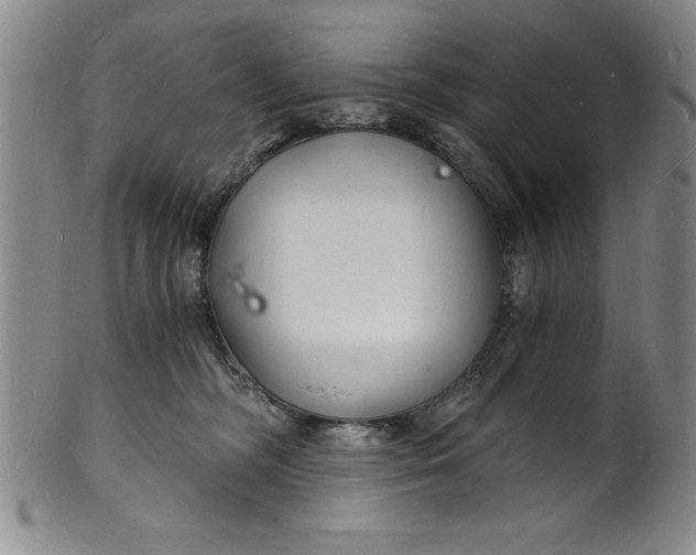 X0000102220326200808081322