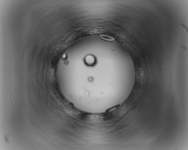 X0000102220327200808081322