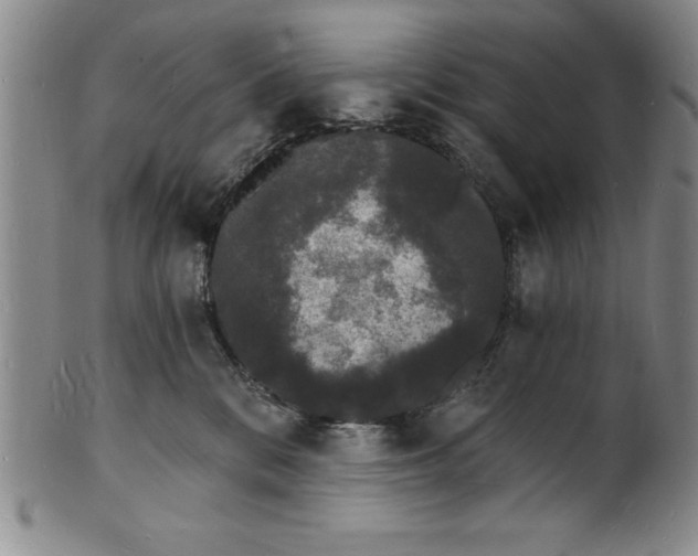 X0000102220328200808081322