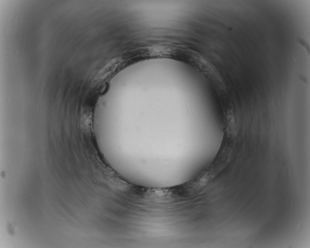 X0000102220329200808081322