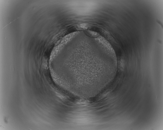 X0000102220331200808081322