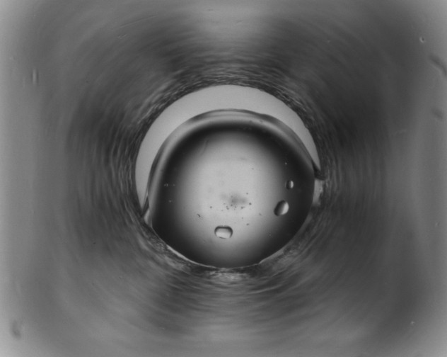 X0000102220332200808081322