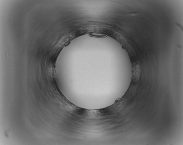 X0000102220333200808081322