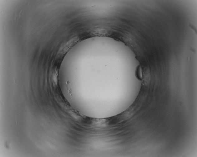 X0000102220334200808081322