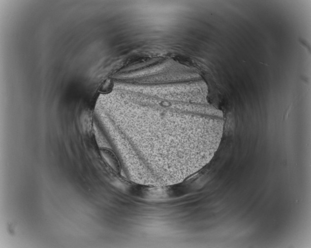 X0000102220335200808081322