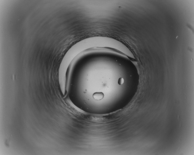 X0000102220336200808081322