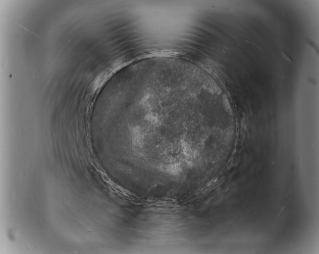 X0000102220337200808081321