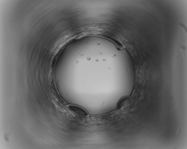 X0000102220338200808081321