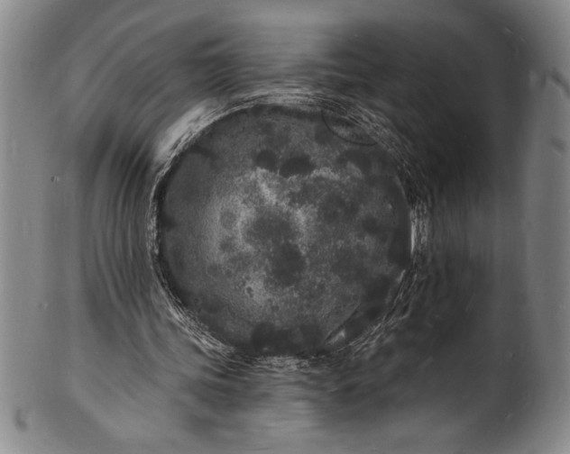 X0000102220339200808081321