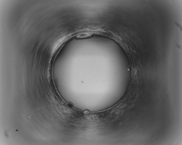 X0000102220340200808081321