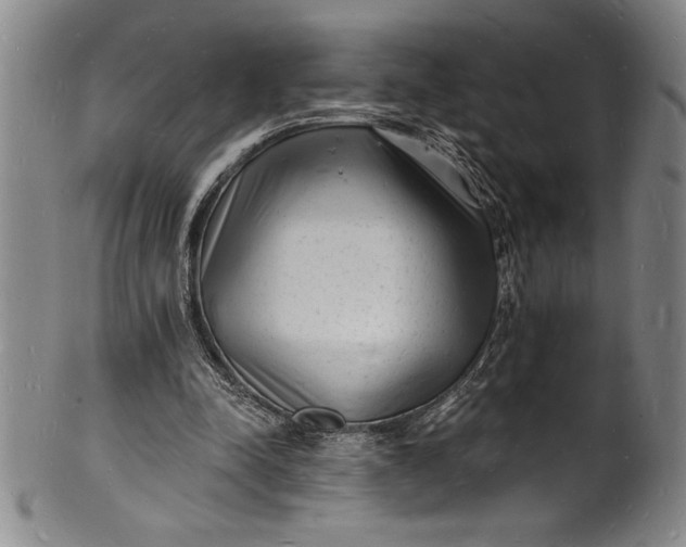 X0000102220342200808081321