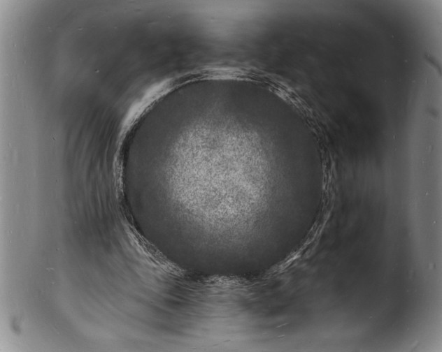 X0000102220343200808081321